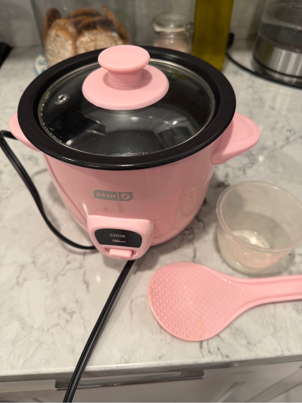 Dash Pink Mini Rice Cooker with Glass Lid and Spoon